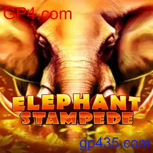 ElephantStampede